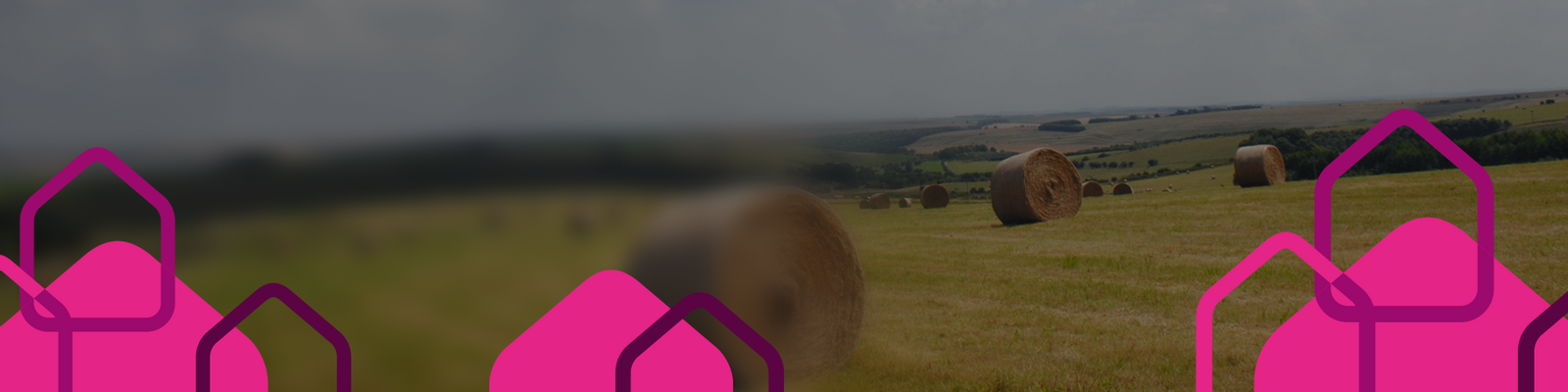 Development banner