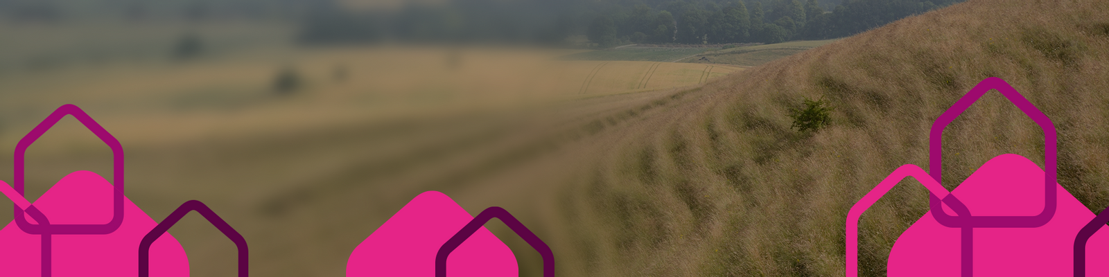 Development banner