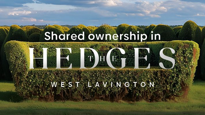 Development banner