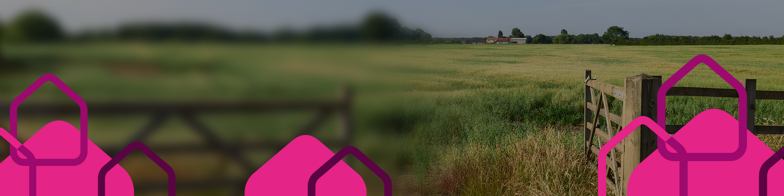 Development banner