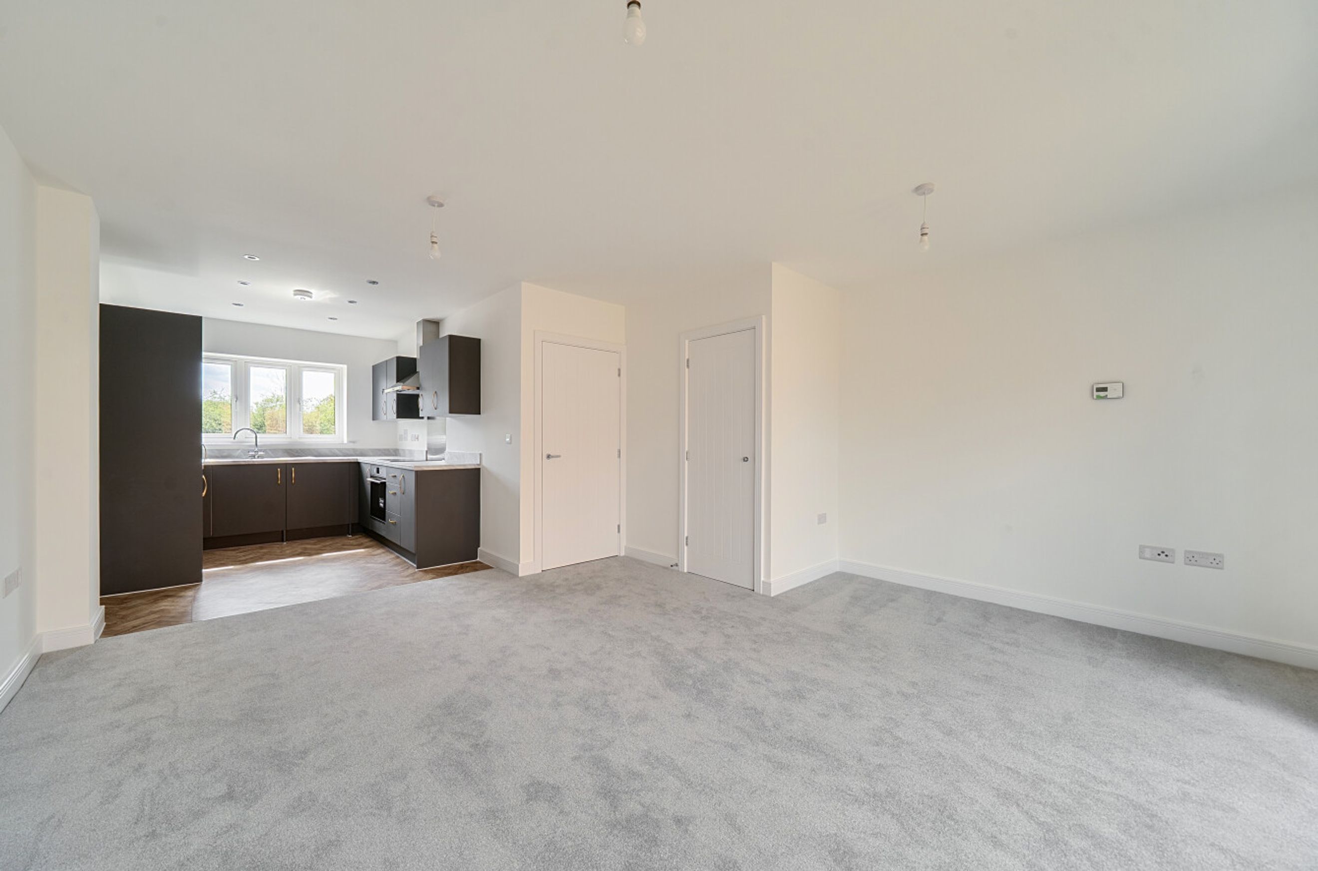 A spacious open-plan living area and kitchen with grey carpeting and dark cabinetry.