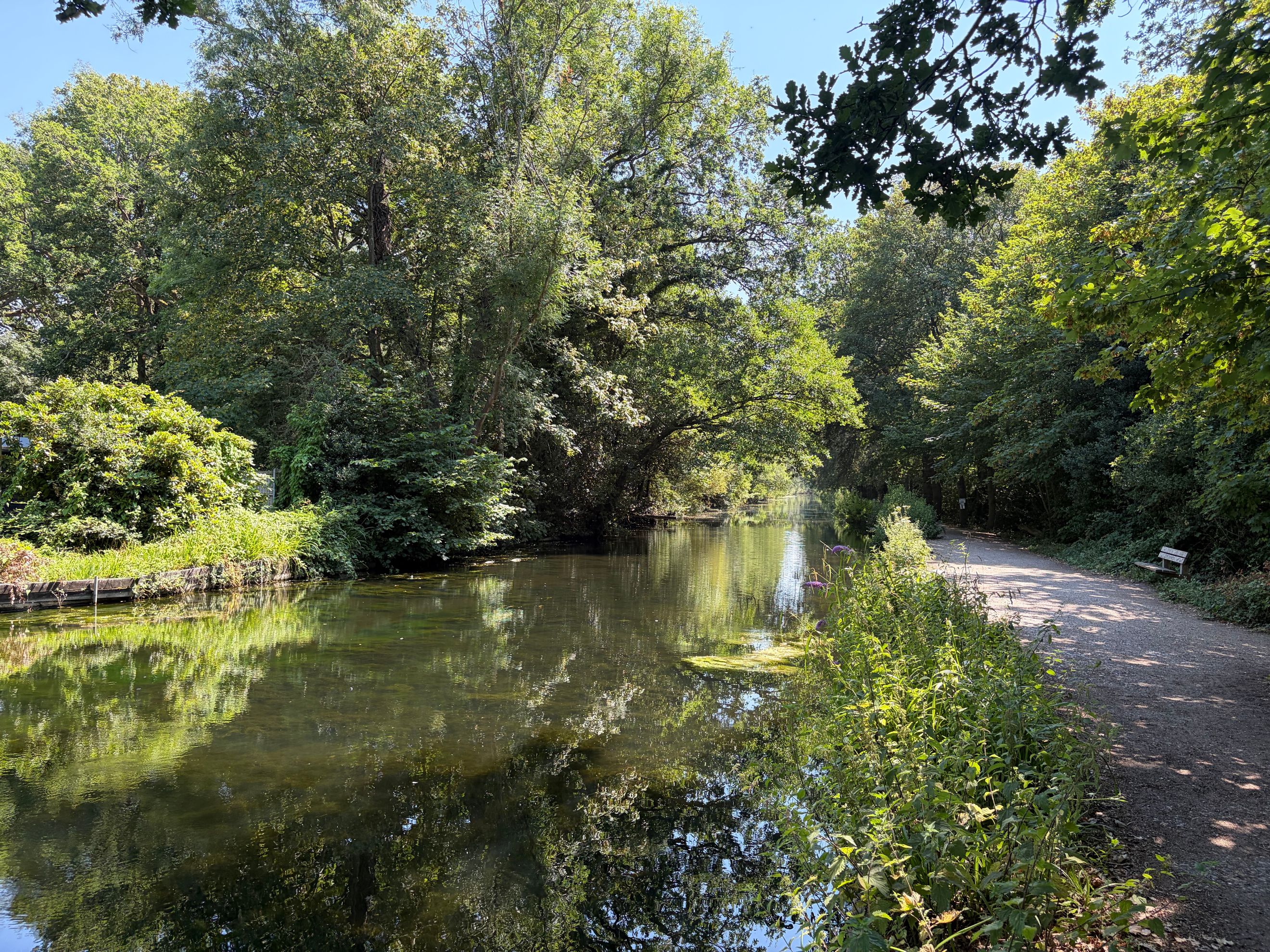 A canal lined with trees and a walking path.