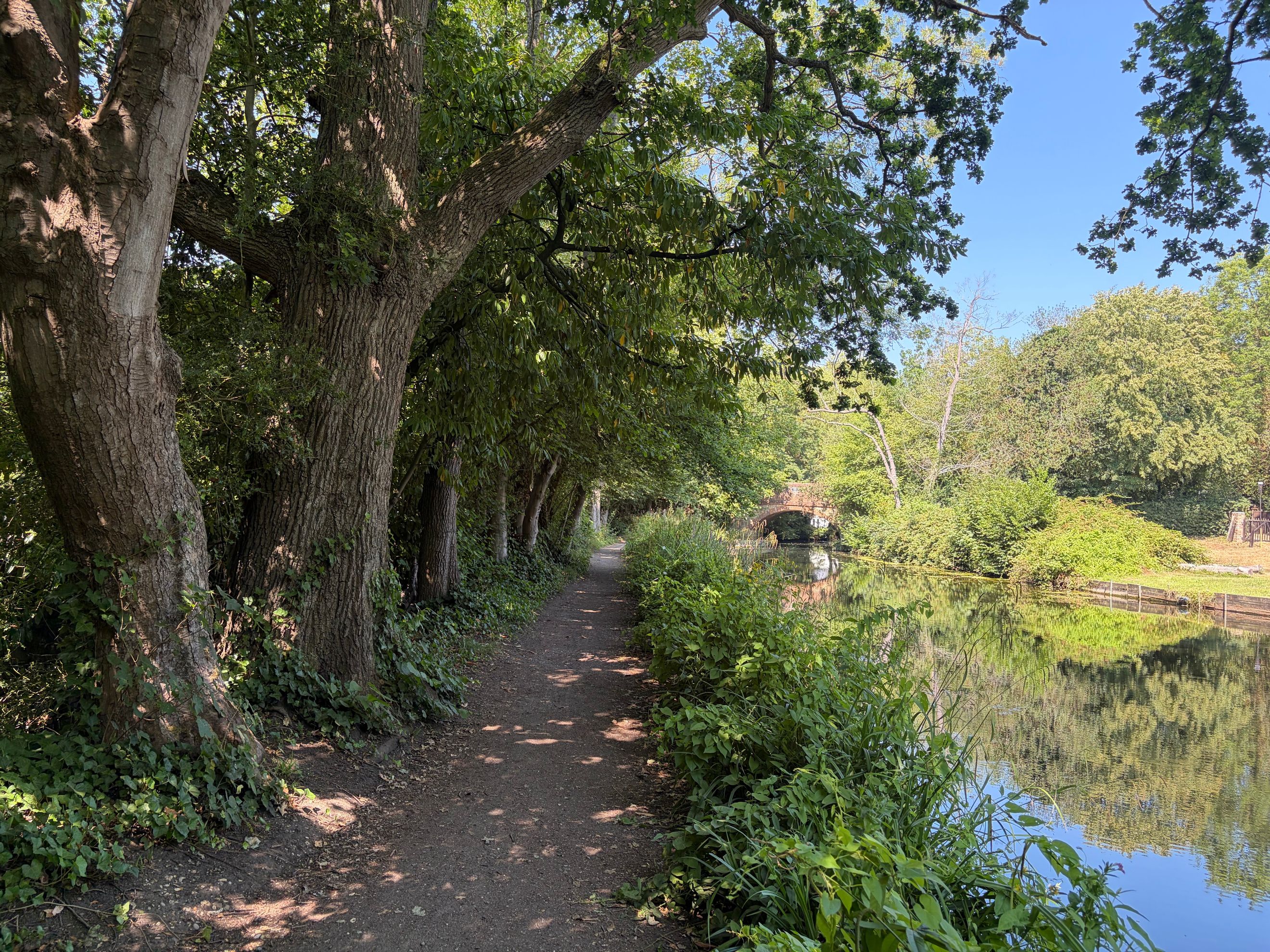 A dirt path runs alongside a calm body of water, with trees and foliage on both sides and a small arched bridge in the distance.