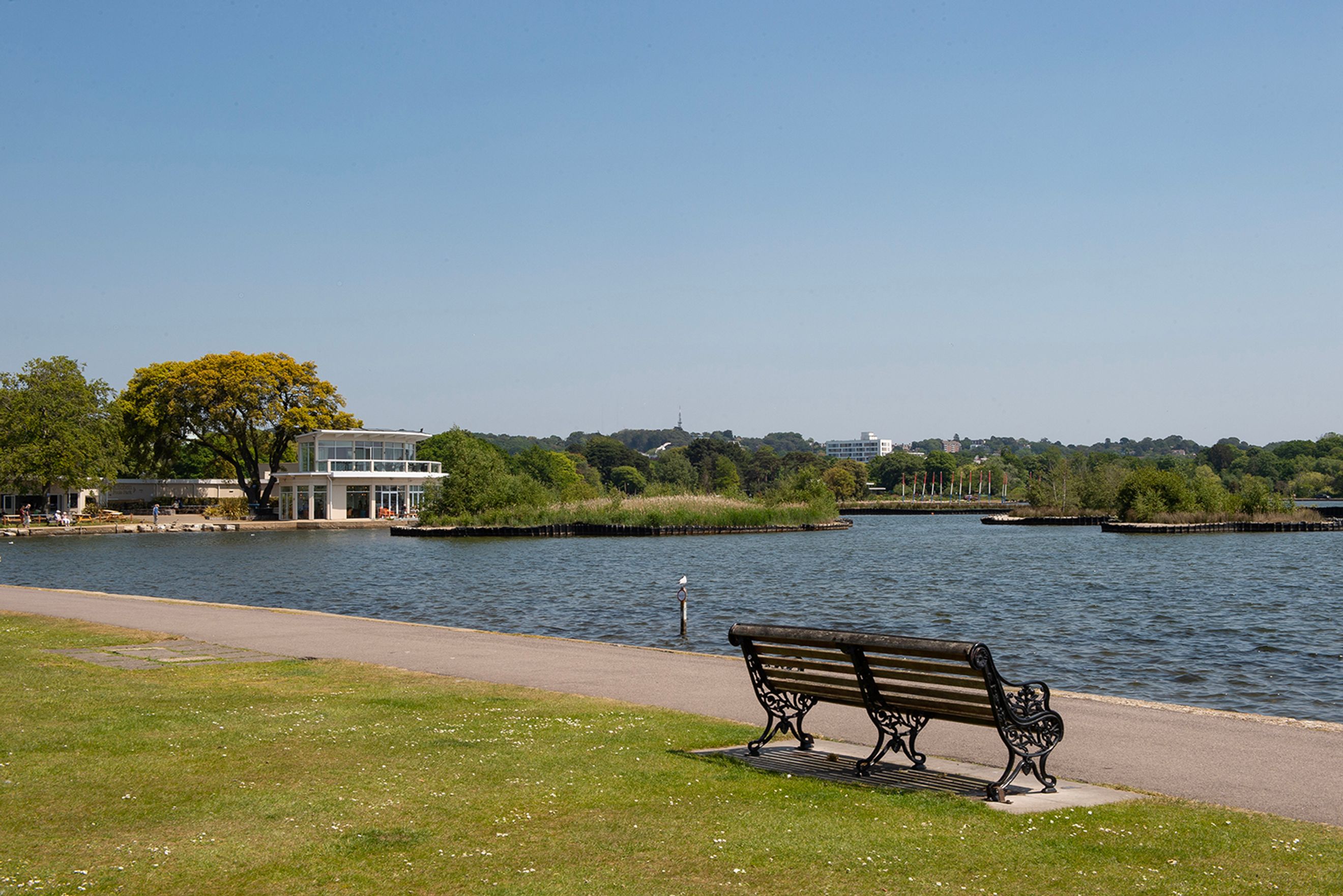 A park with a lake, a building, and a bench.