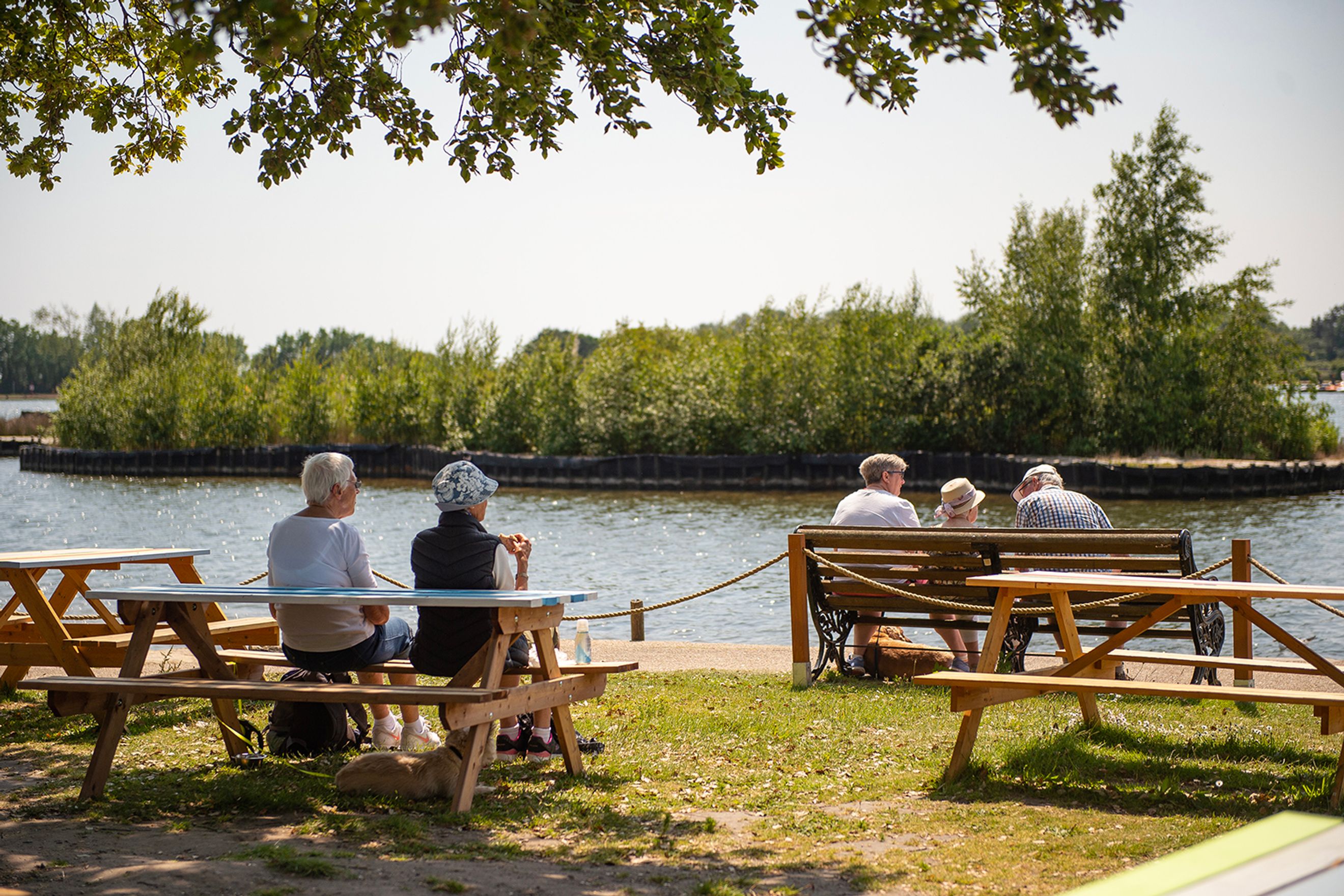A group of people sitting on benches and at picnic tables by a body of water with trees in the background.