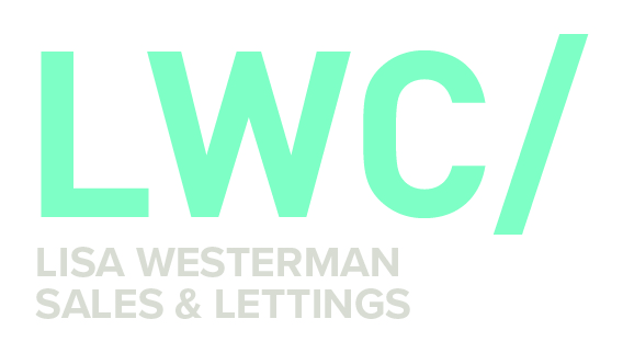 Developer logo