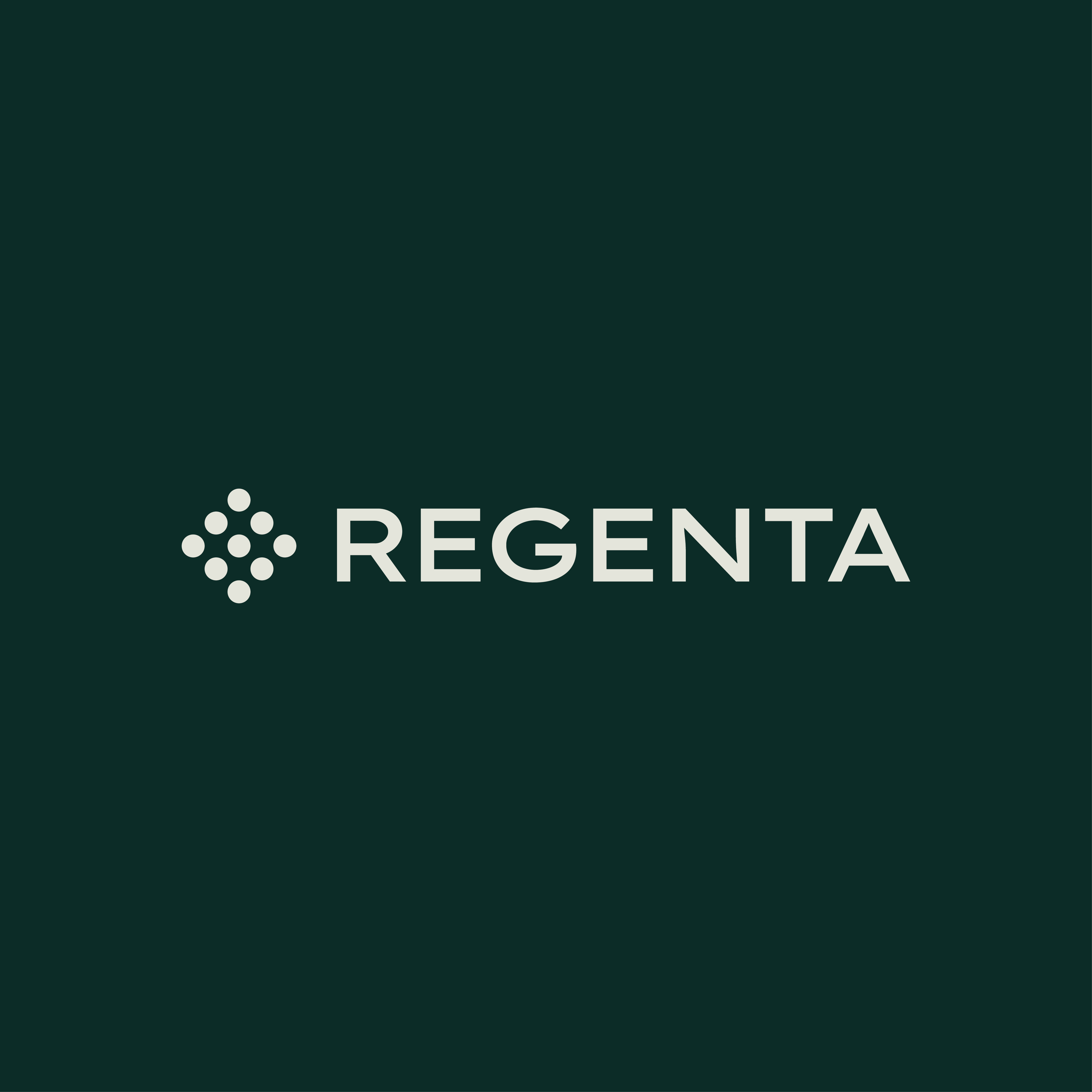 Developer logo