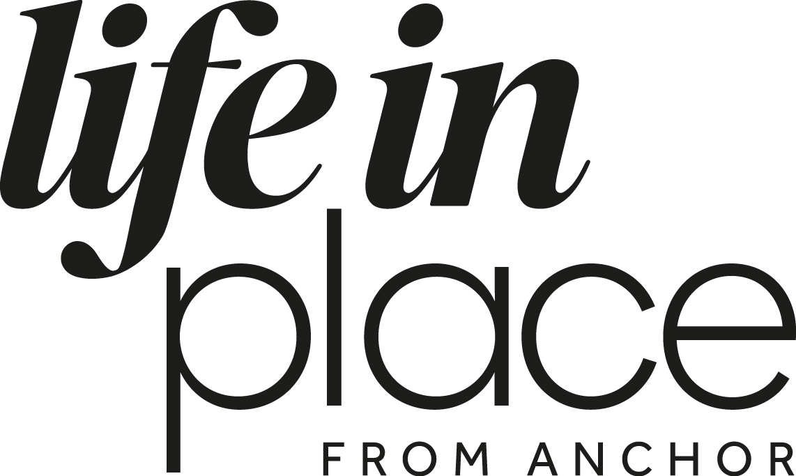 Developer logo