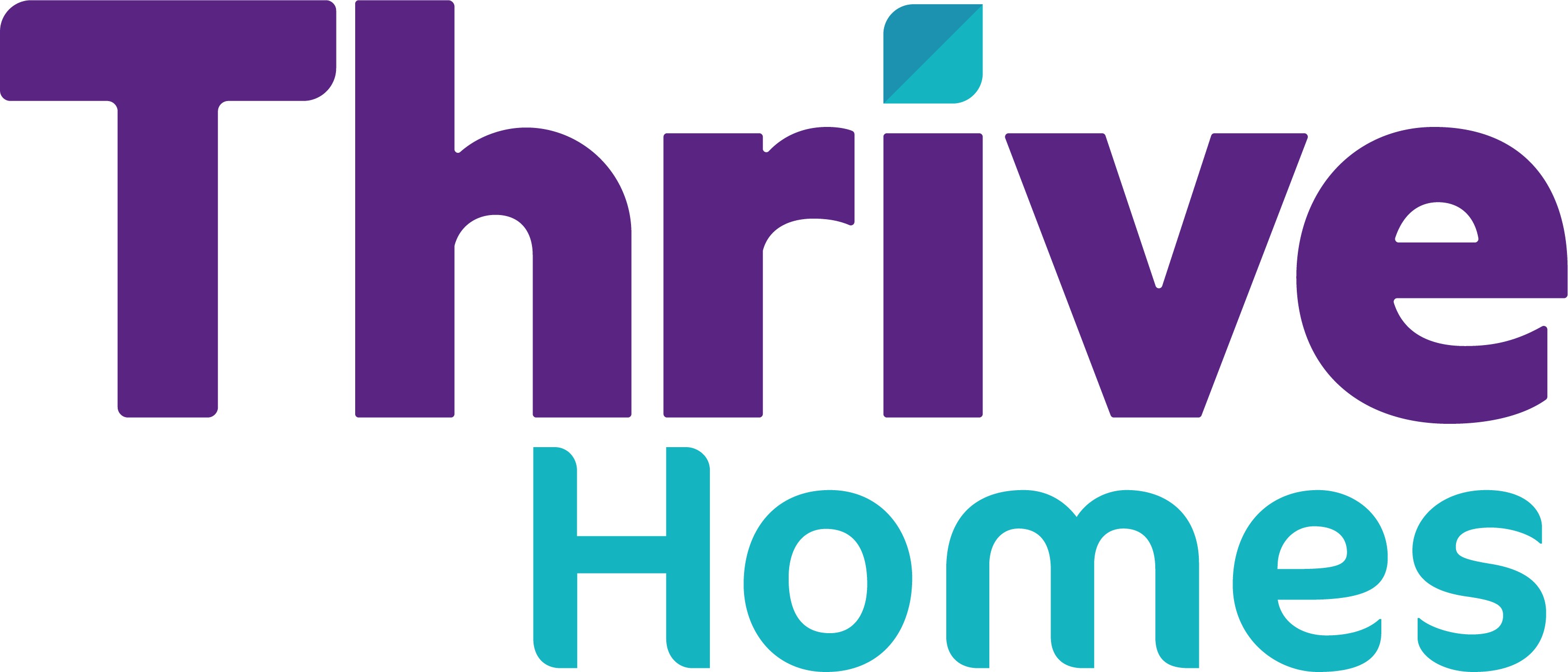 Developer logo