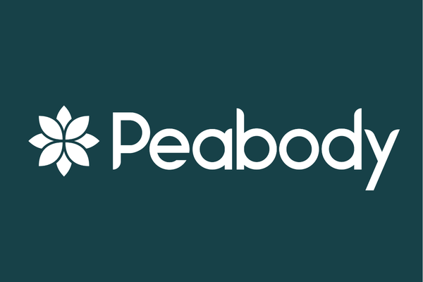 Developer logo