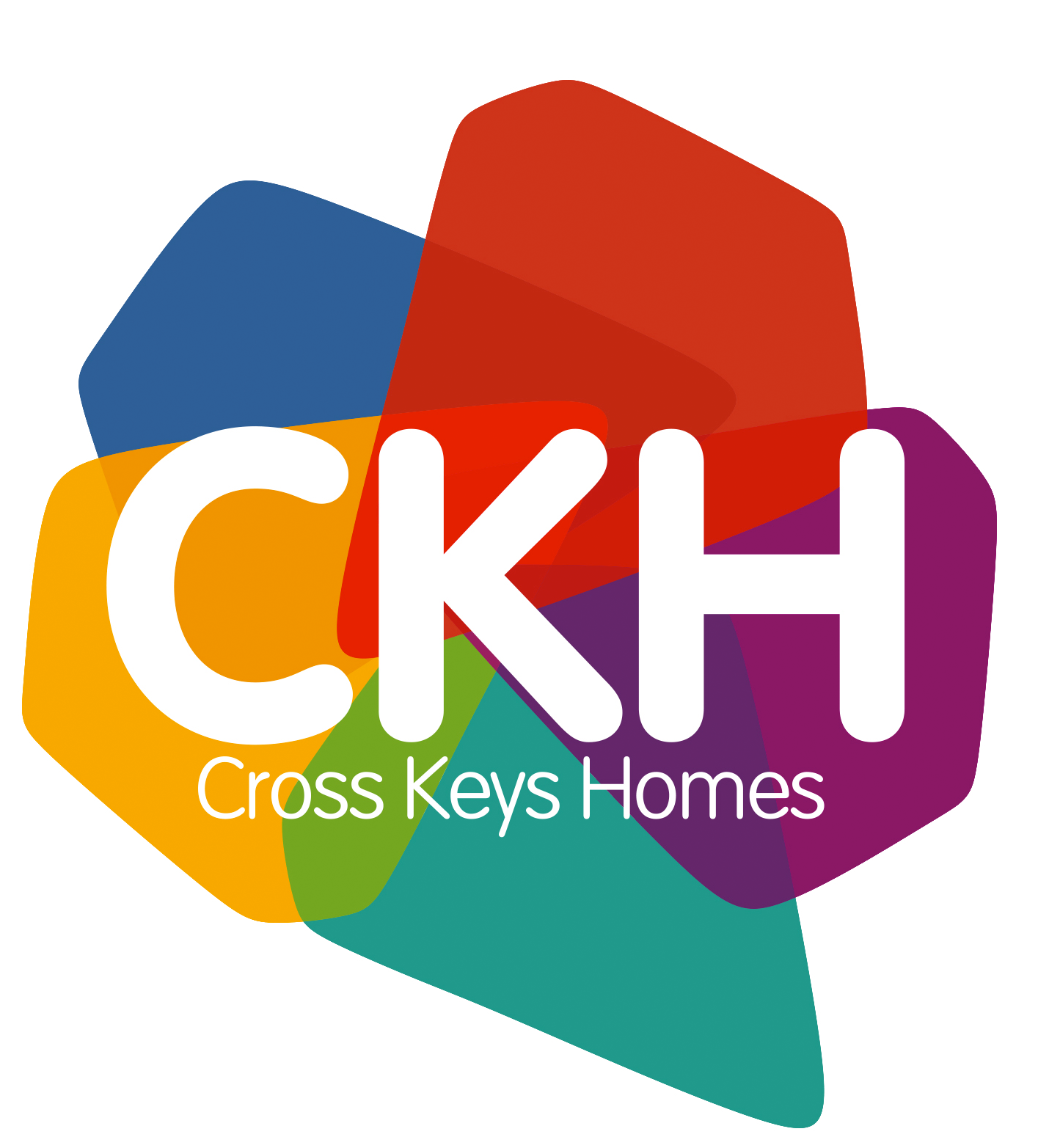 Developer logo