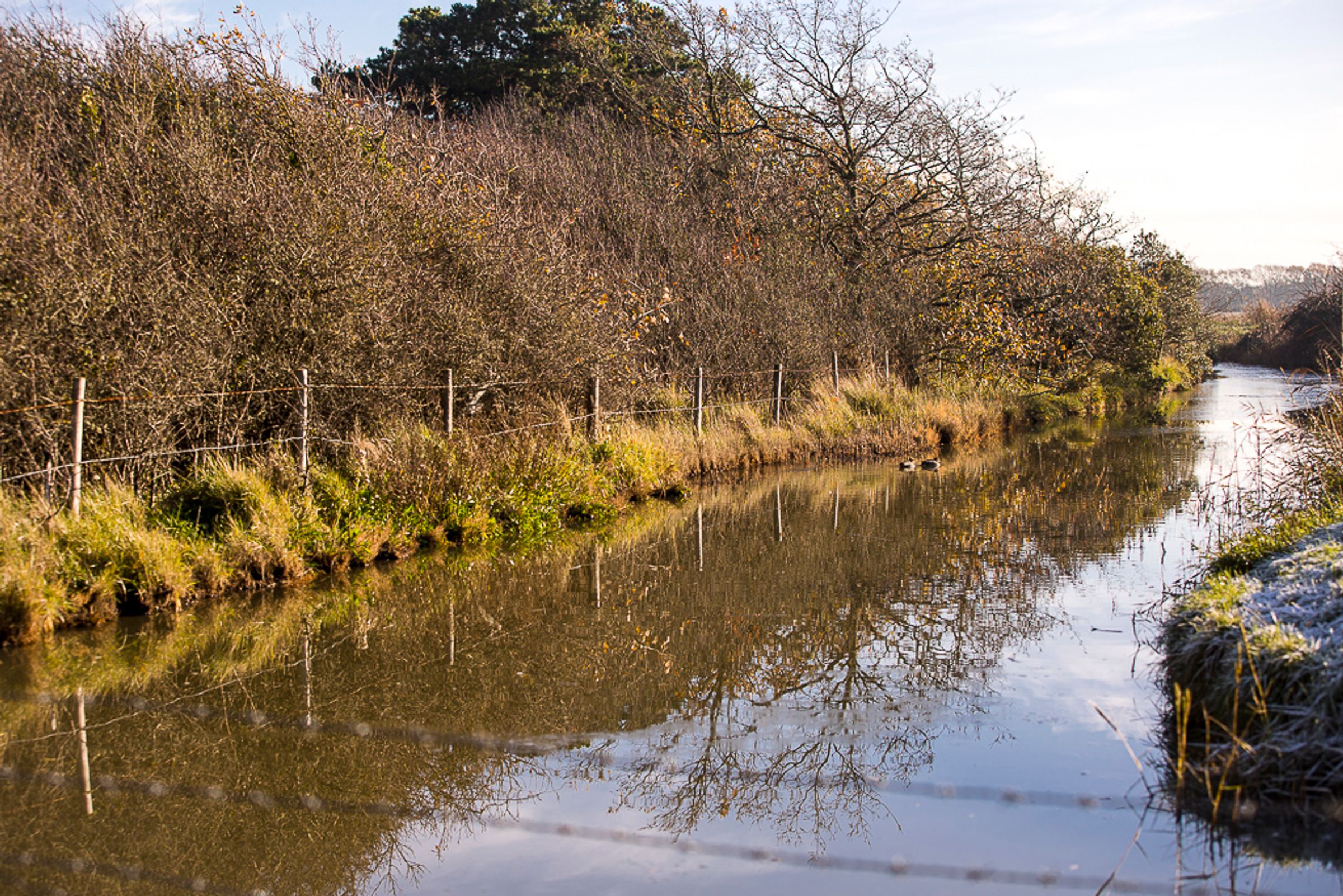 VIVID at Bramley Park, SO31 9EF 2 bed apartment in Warsash