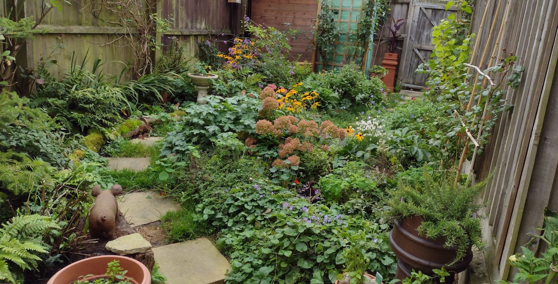 DT2 0FD 3 bedroom house in Cattistock Dorset Share to Buy