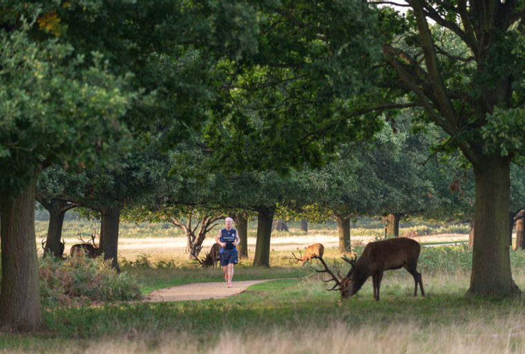 Property photo 7 of 12 for Fleming Way, Isleworth