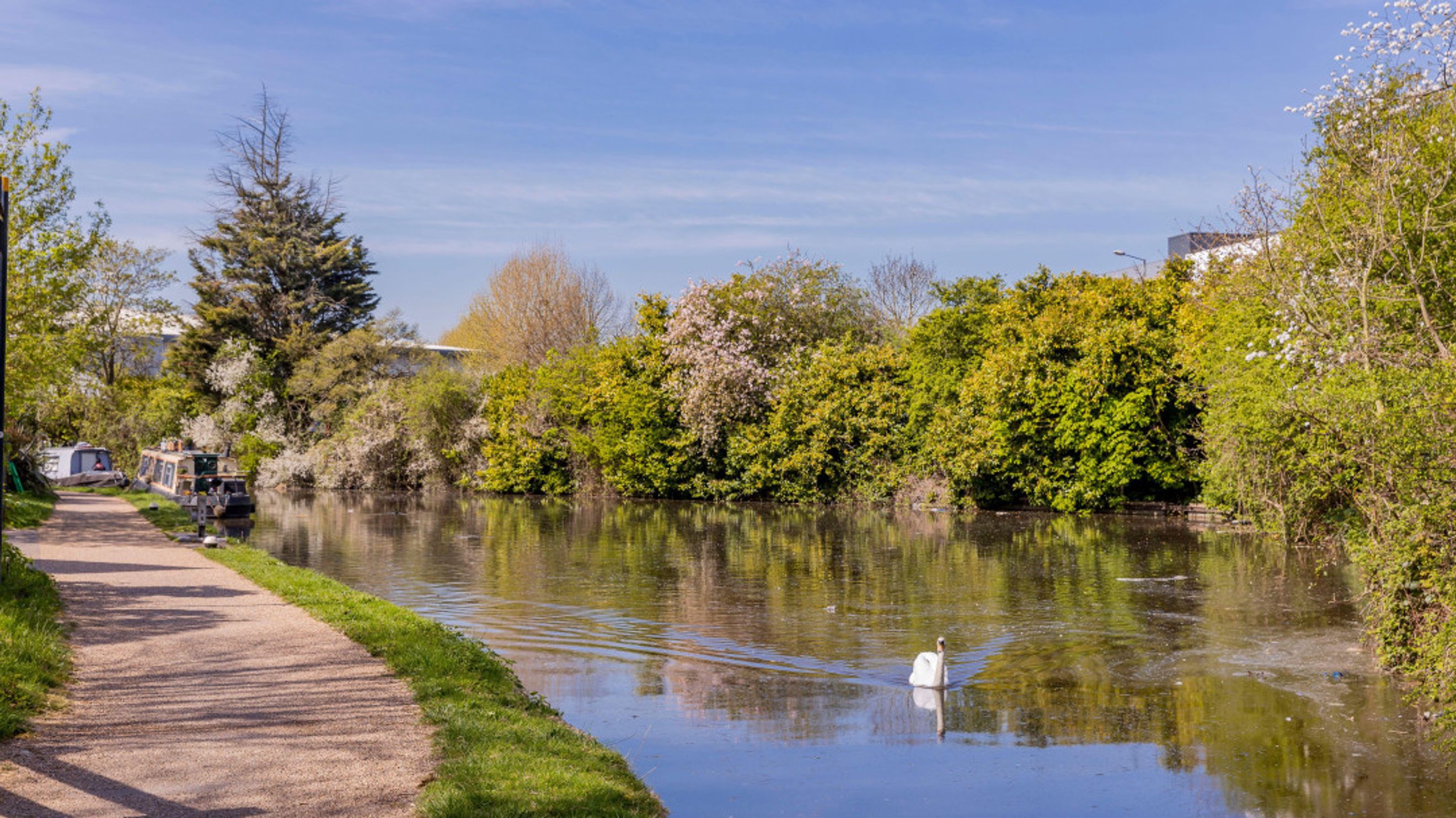 Property photo 7 of 7 for Buckingham Avenue
