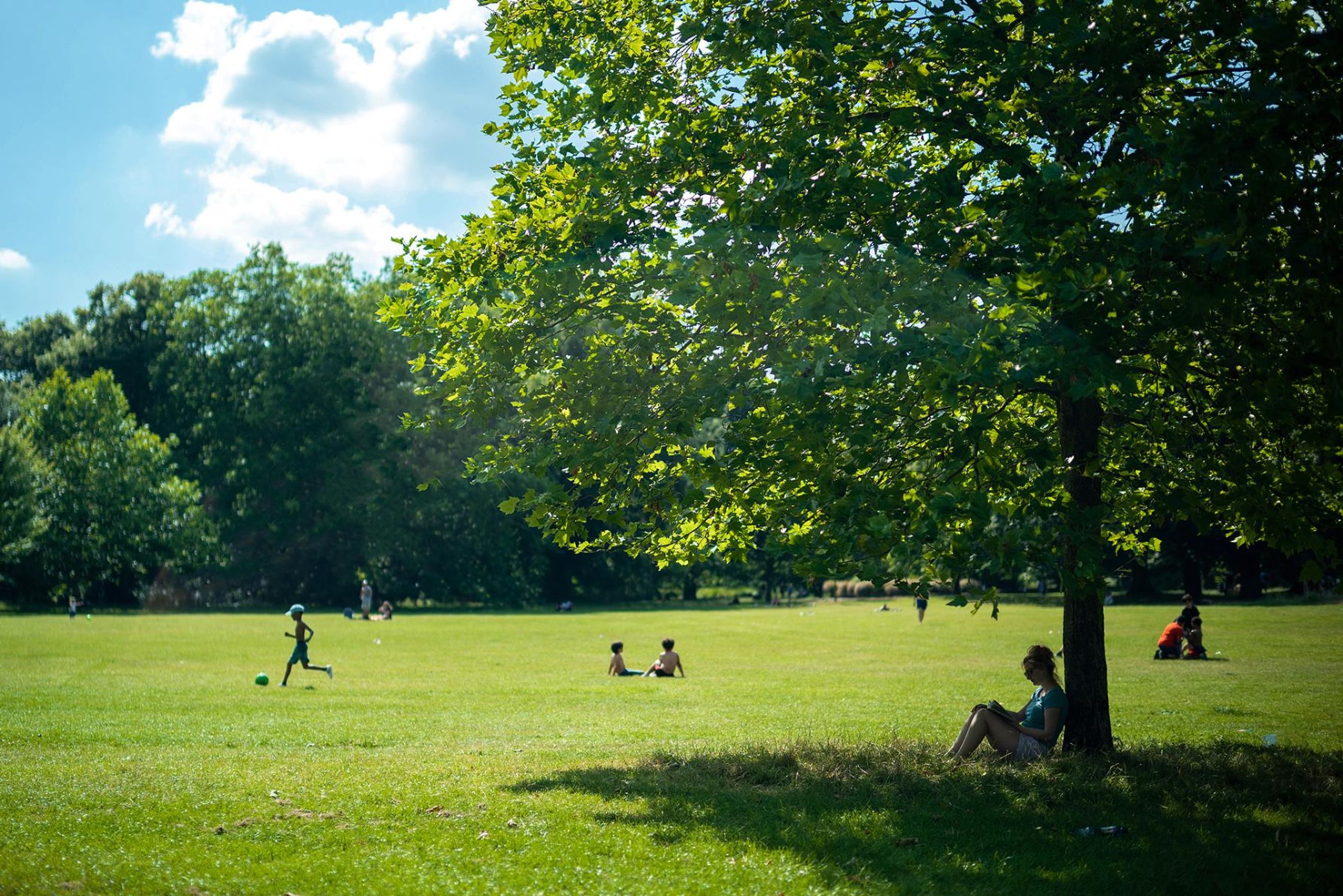 Property photo 21 of 21 for The Verdean, Friary Road