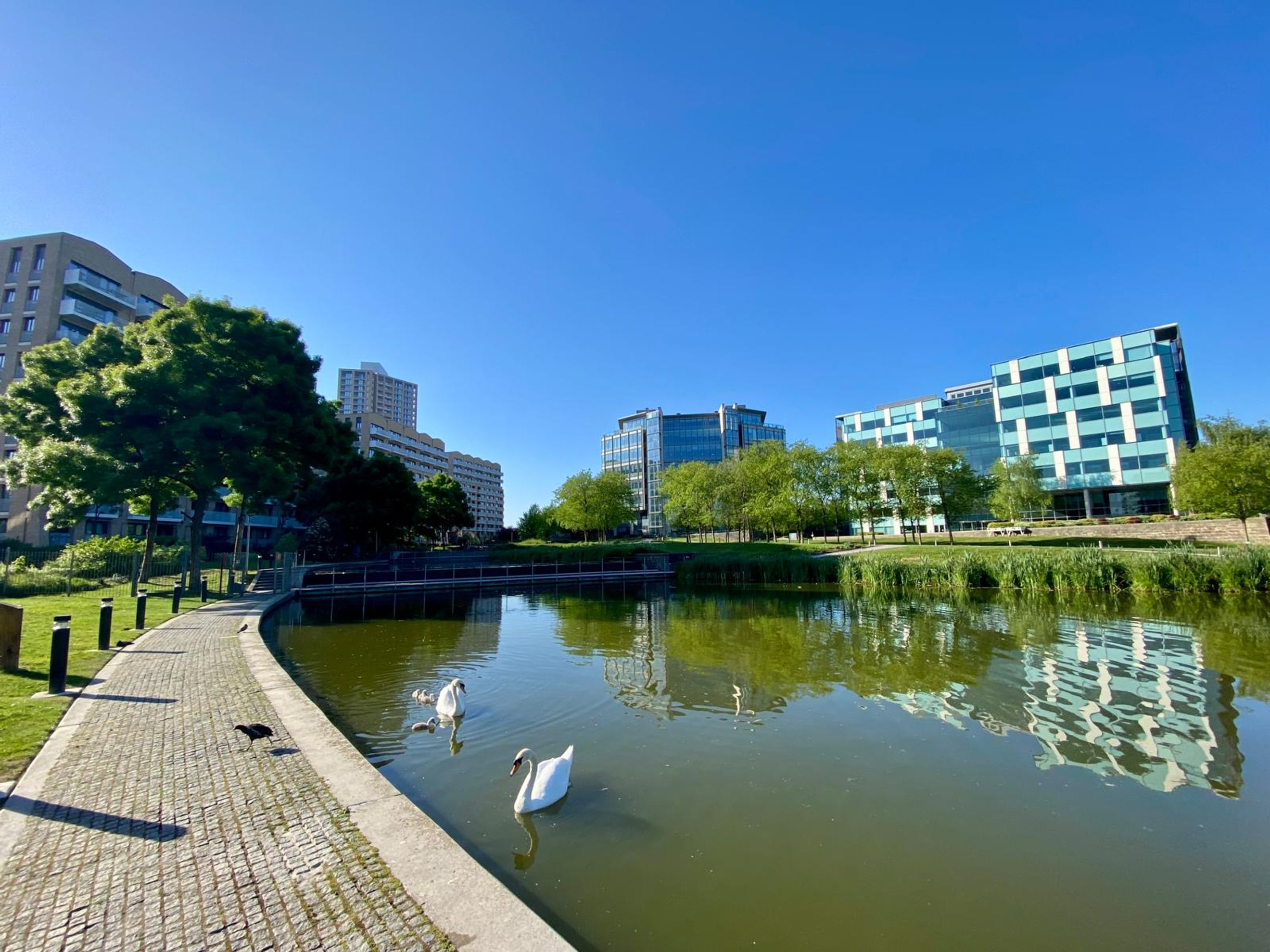 Property photo 9 of 10 for Dan Court, Lakeside Drive