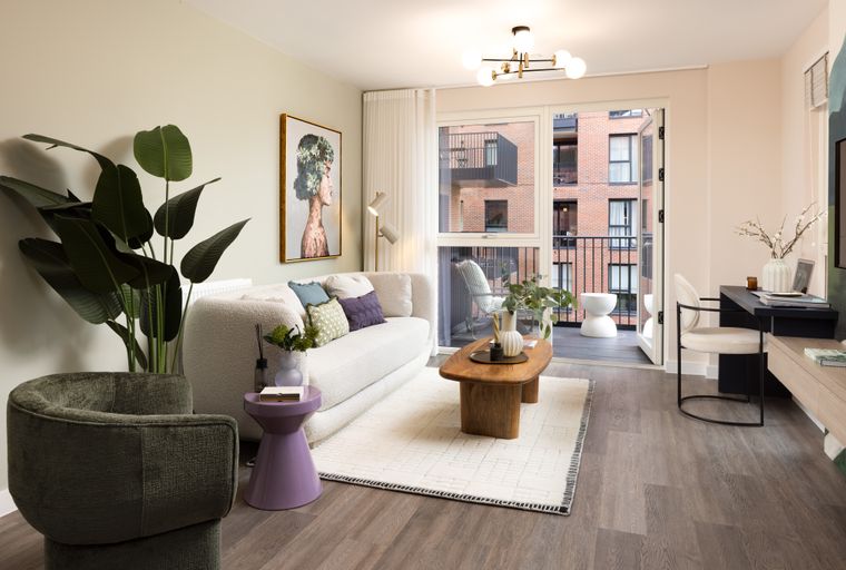 A living room with a sofa, coffee table, and a large plant.