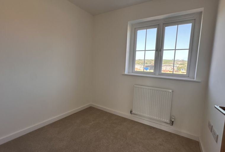 A room with a window, radiator, and carpet.