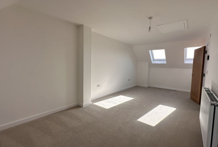 A room with carpet, skylight windows, a door, and a radiator.