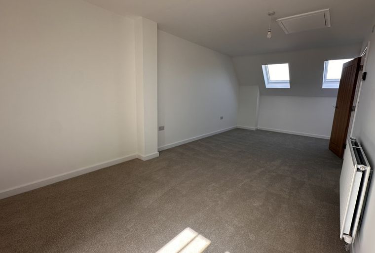 A carpeted room with skylights and a wooden door.