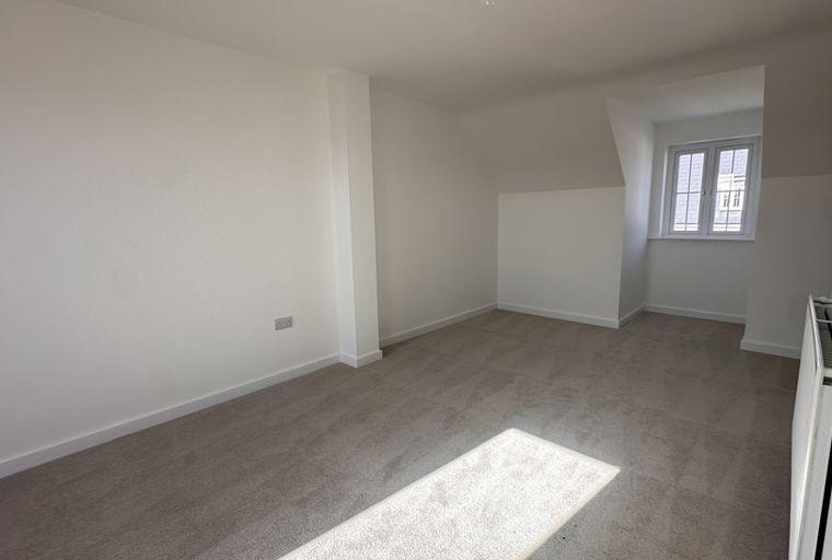 A room with a window, radiator, and carpet.