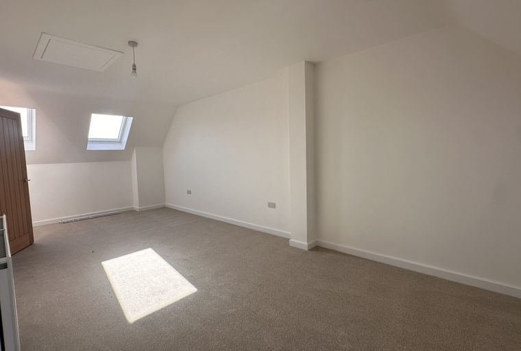 A spacious attic room with a dormer window, skylight, and carpeted floor.