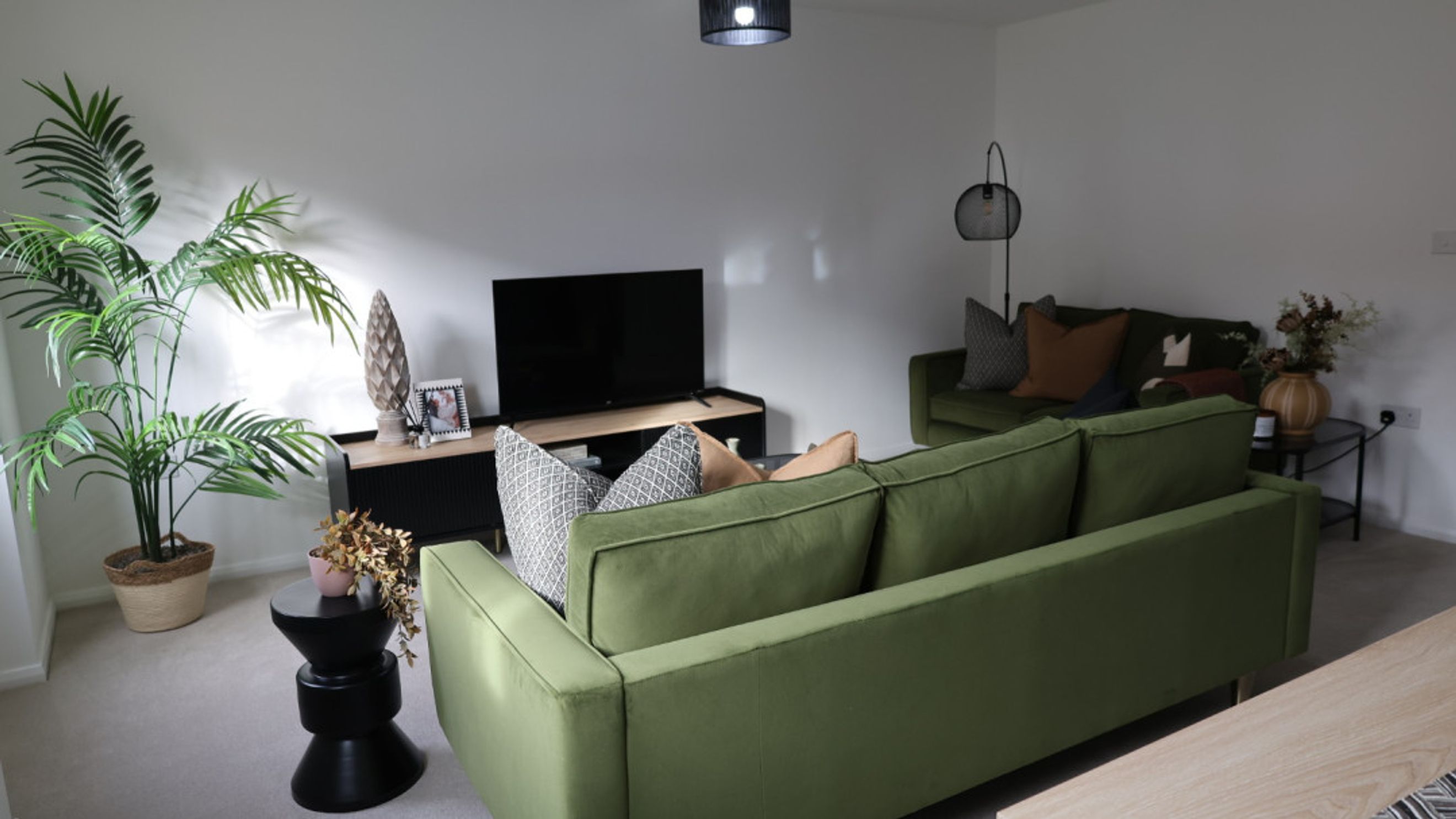 A living room with two green sofas, a TV, and a plant.