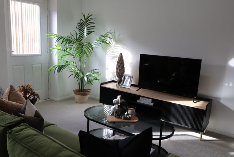 A living room with a green sofa, media console, coffee table, and a plant.