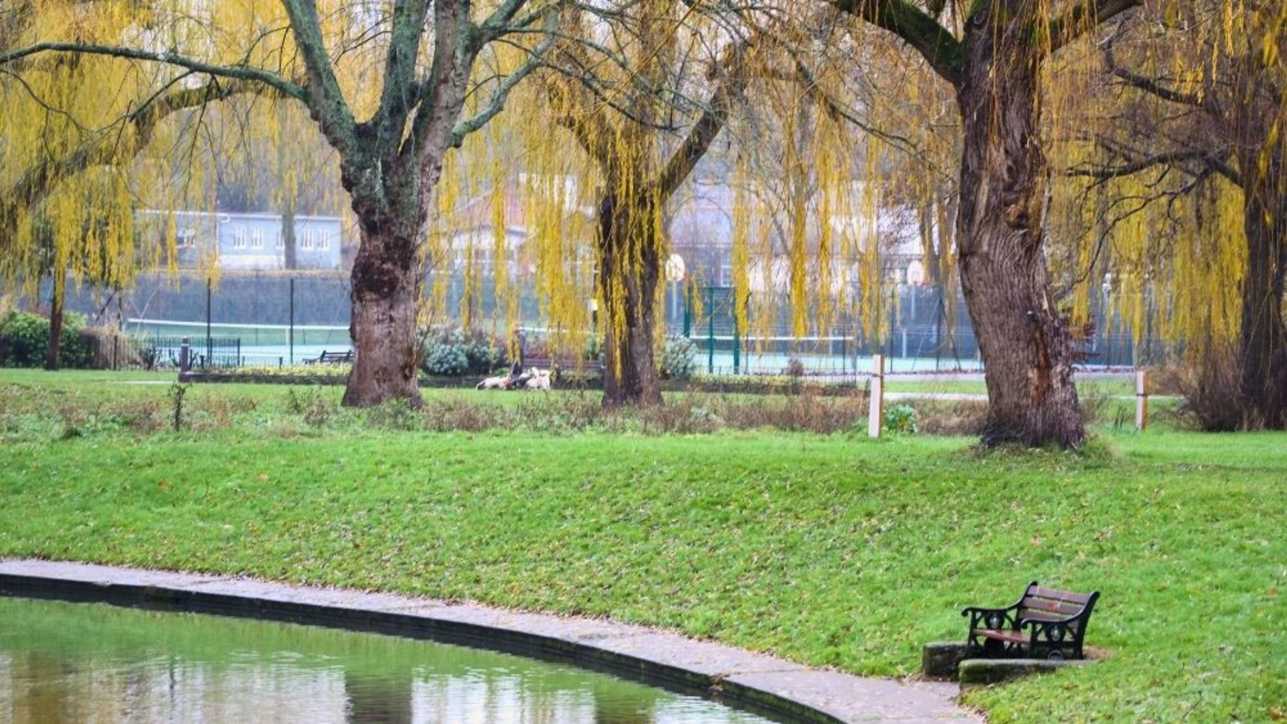 A park with a pond, trees, and a tennis court in the background.