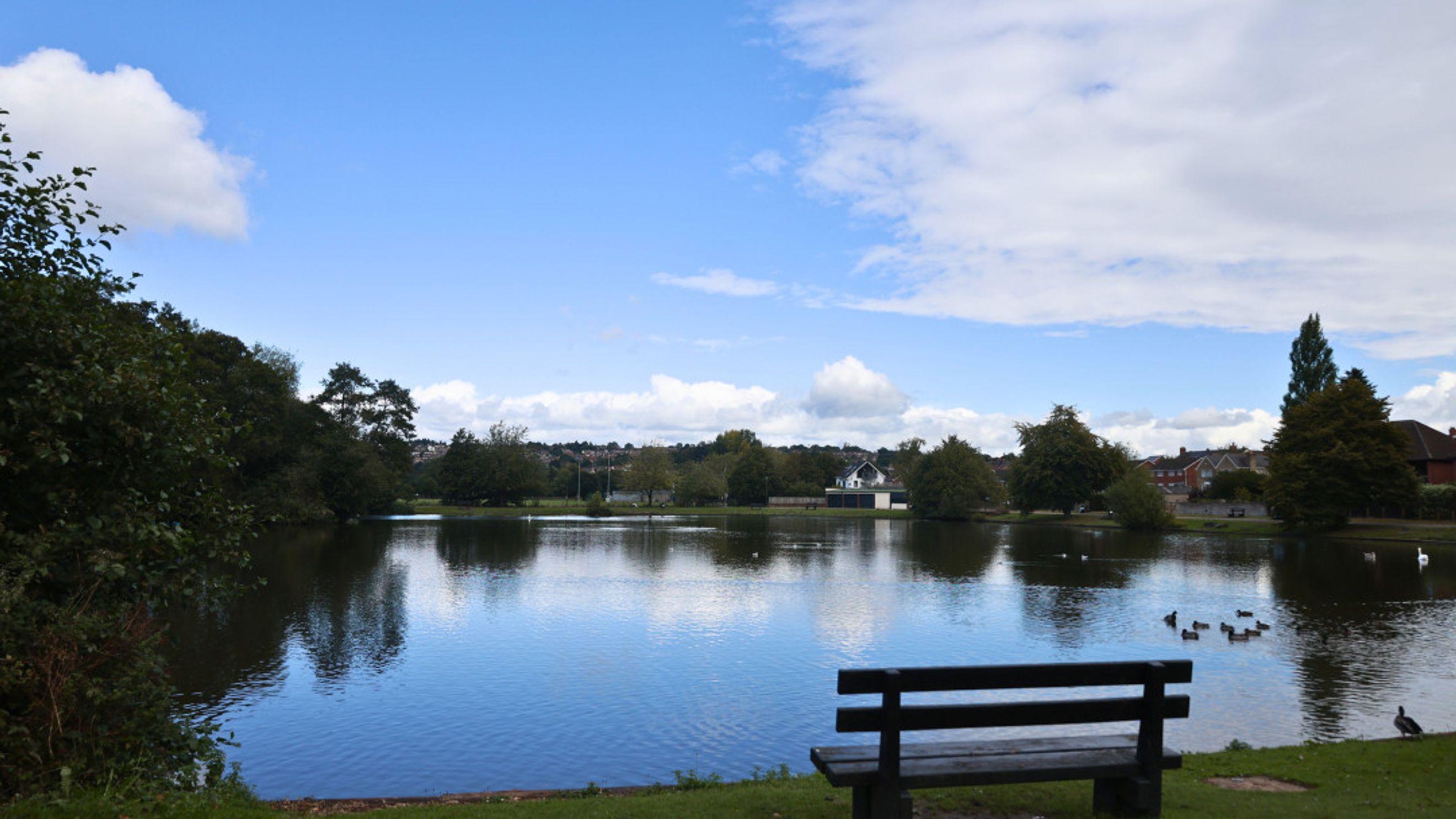 A park with a lake, trees, houses, and a bench in the foreground.