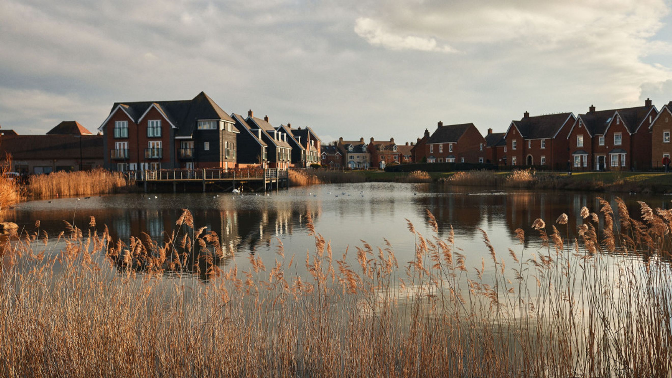 A lake with houses and reeds in the foreground.