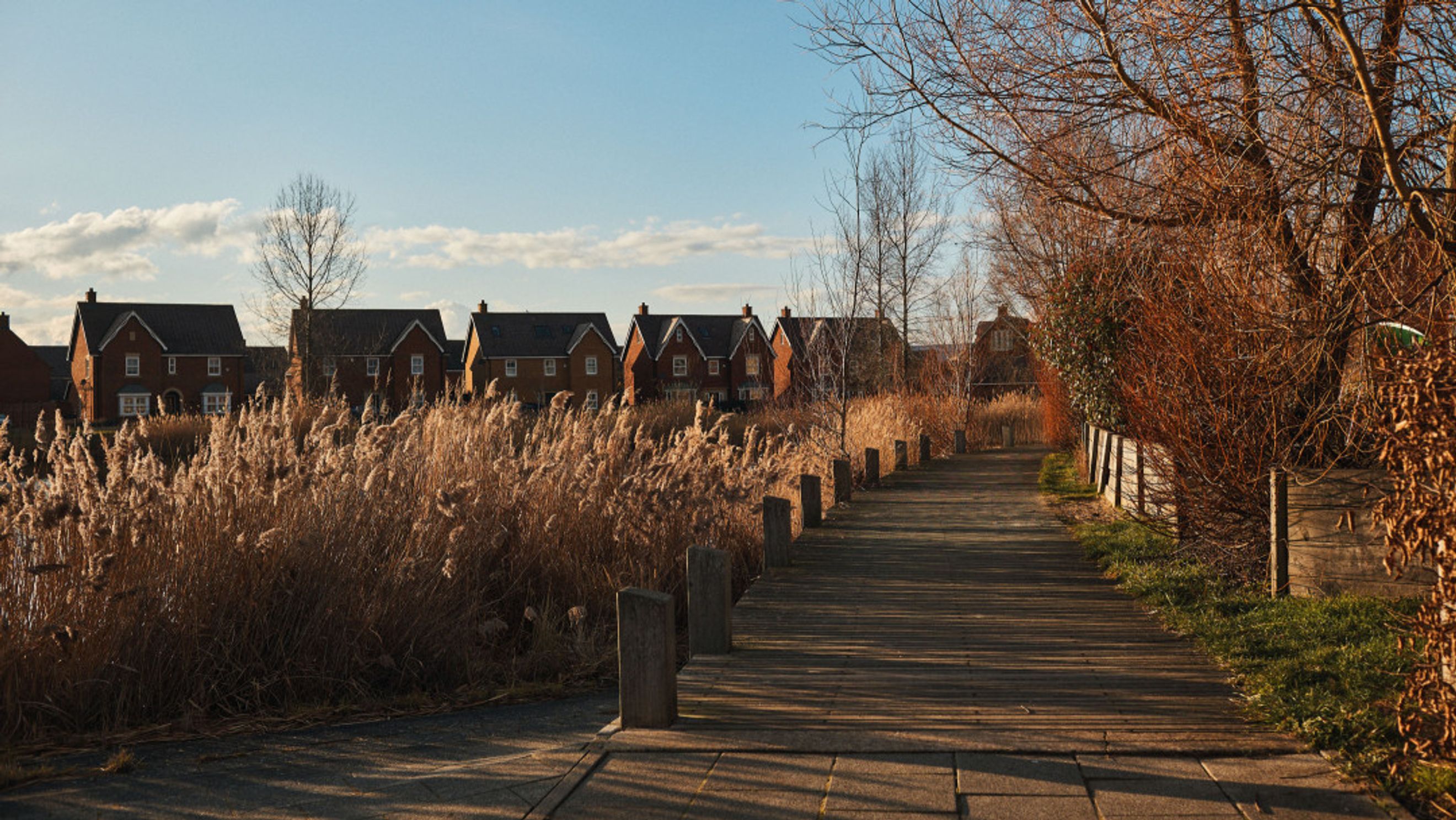 A boardwalk lined with tall reeds leads towards a row of brick houses under a blue sky.