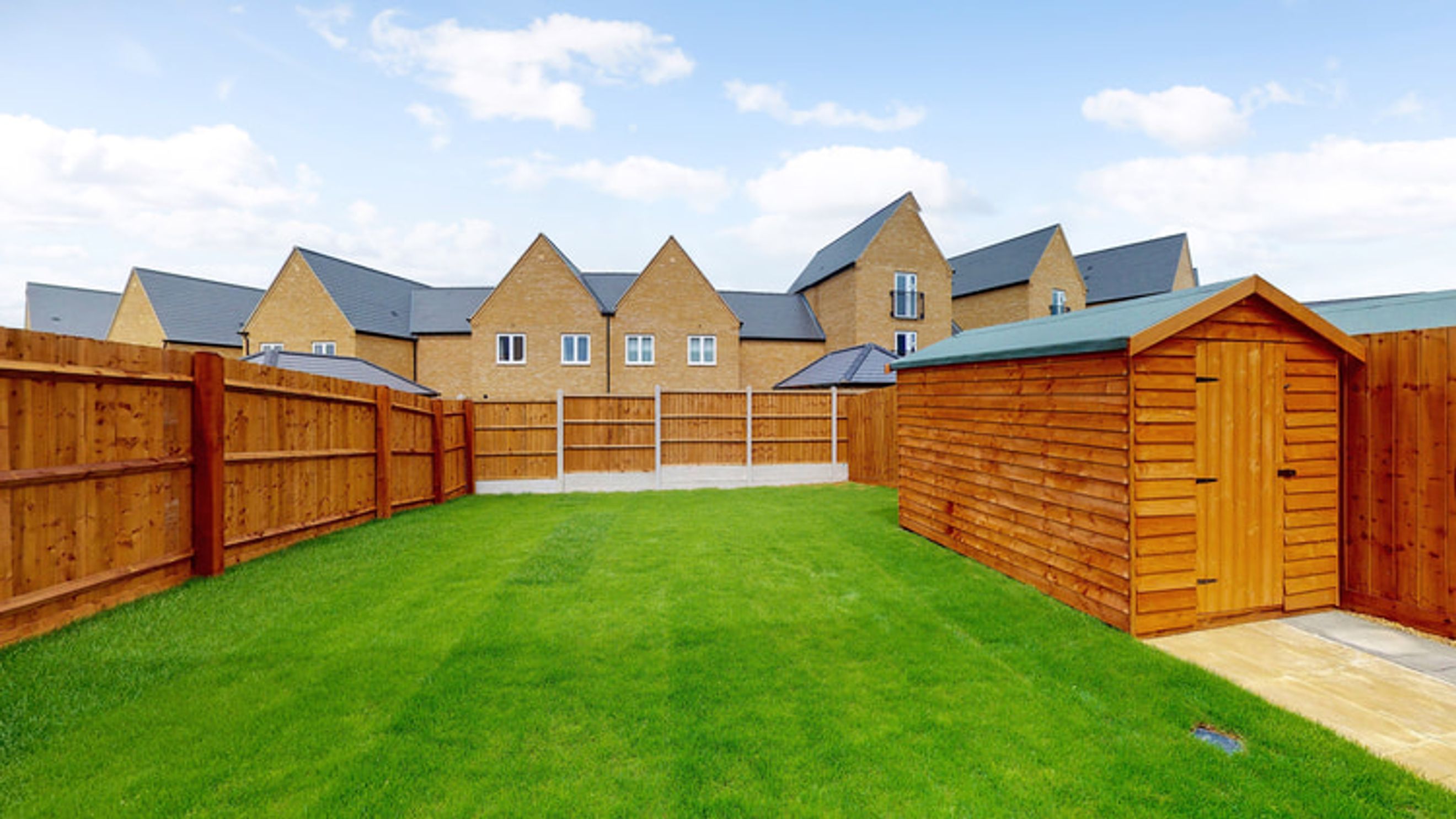 A backyard with a wooden fence, a lawn, and a garden shed in front of houses.