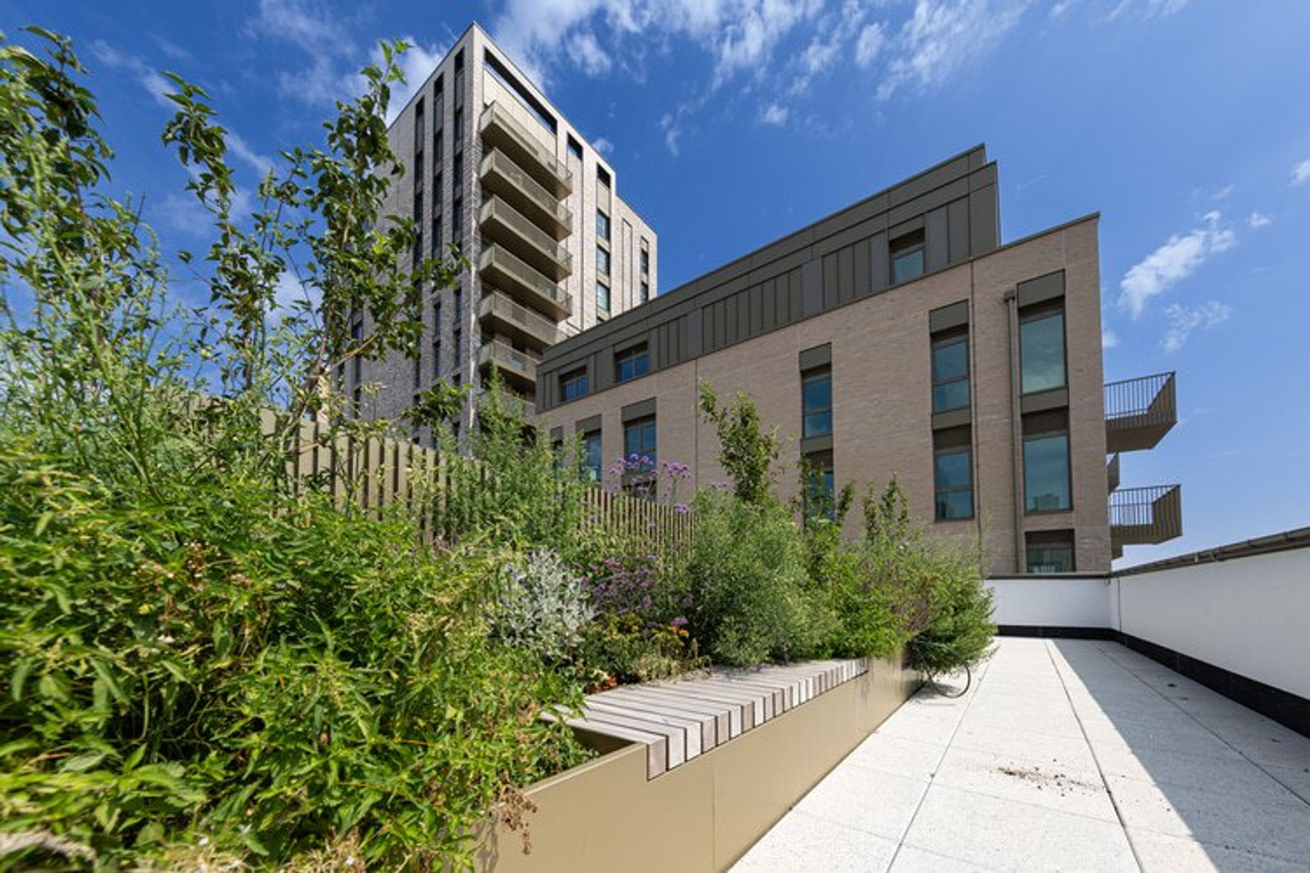 A rooftop garden with modern apartment buildings in the background.