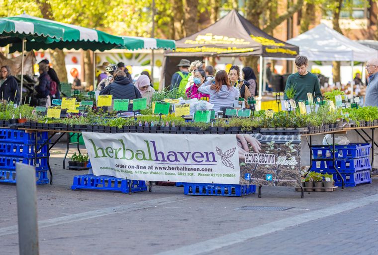 A market stall selling various potted herbs and plants.
