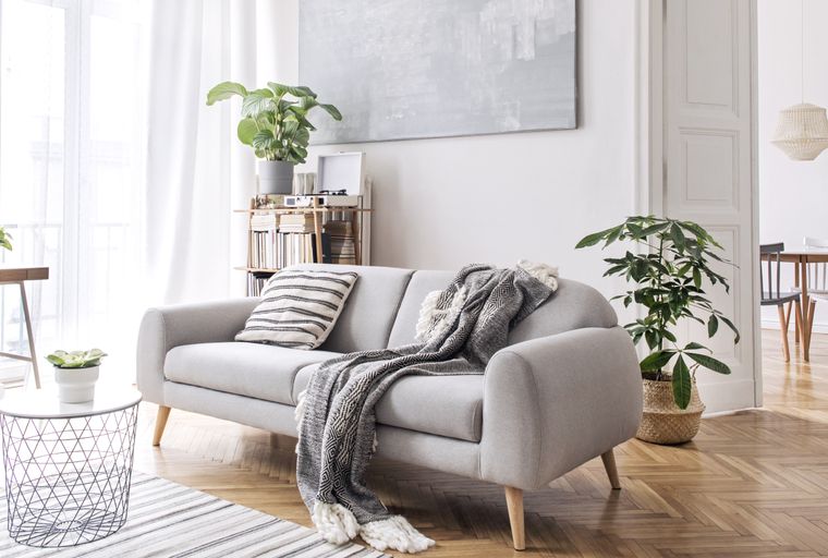 A living room with a grey sofa, a coffee table, and plants.