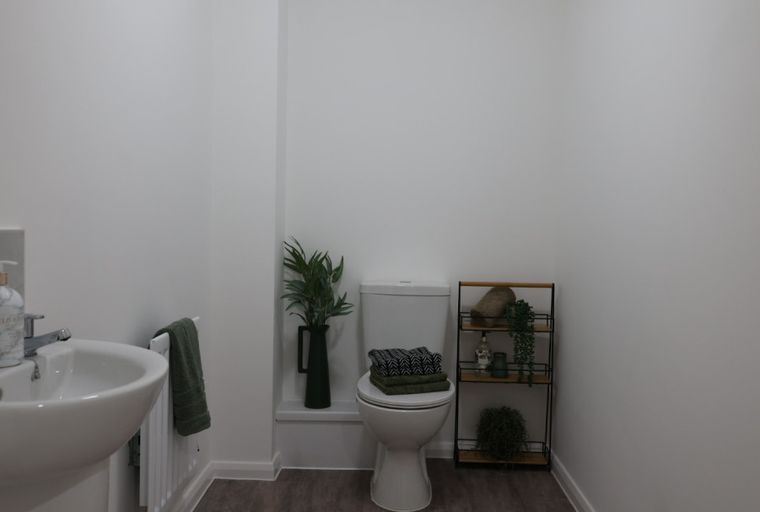 A bathroom with a sink, toilet, and shelving unit.