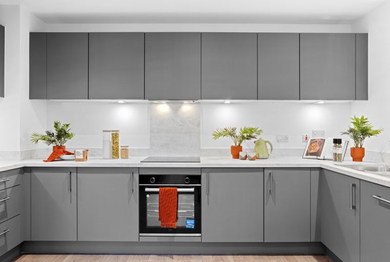 A modern kitchen with grey cabinets, a built-in oven, and a countertop.