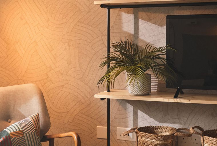 A living room corner with a chair, a shelf, a plant, and a television.