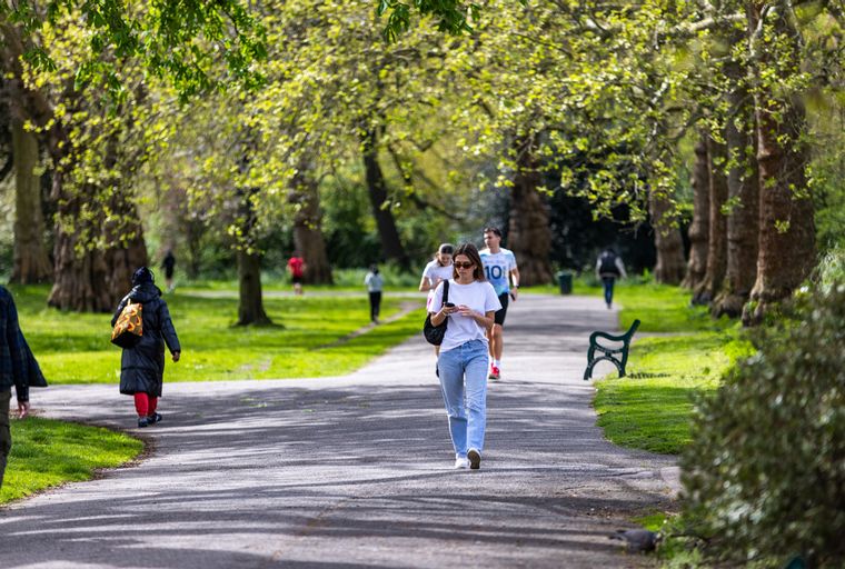 A park path lined with trees and people walking and jogging.