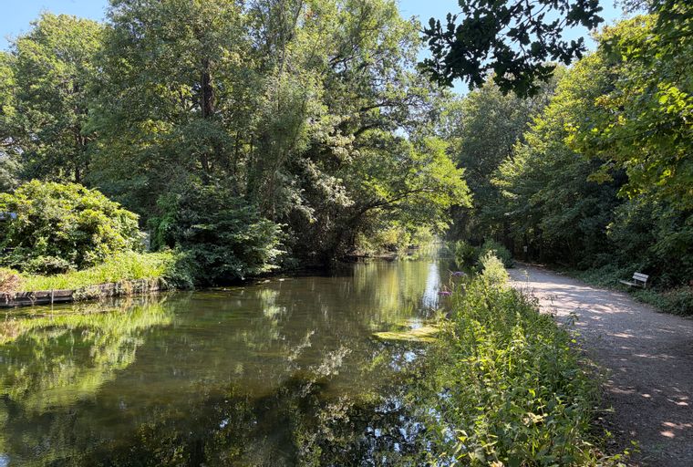 A canal lined with trees and a walking path.