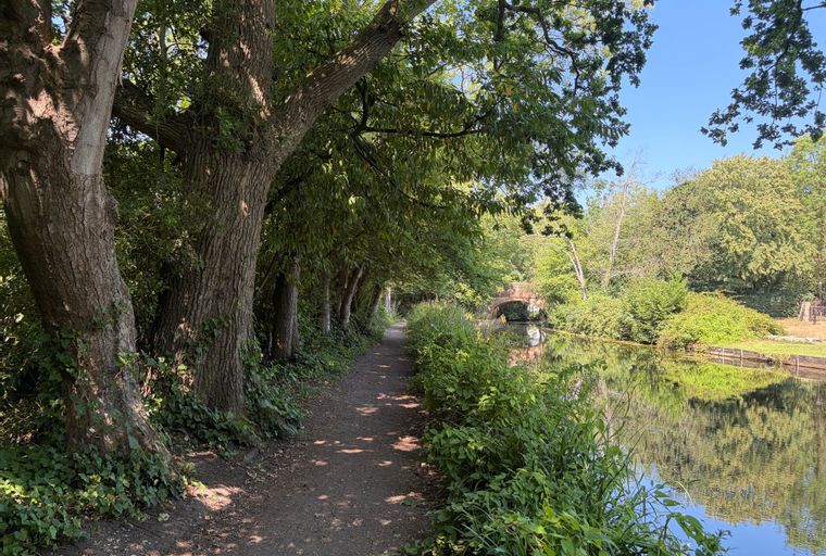 A dirt path runs alongside a calm body of water, with trees and foliage on both sides and a small arched bridge in the distance.