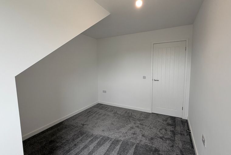 A room with a grey carpet, a white door, and a ceiling light.