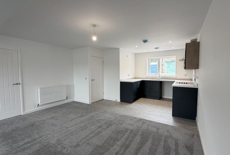 A modern living space with a kitchen area, featuring grey carpet, a radiator, and dark kitchen cabinets.