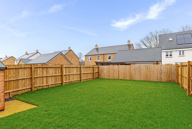 A backyard with a lawn, a wooden fence, and a garden shed.