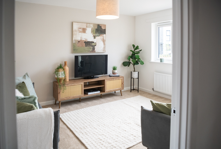 A living room with a TV, entertainment center, plants, and a rug.