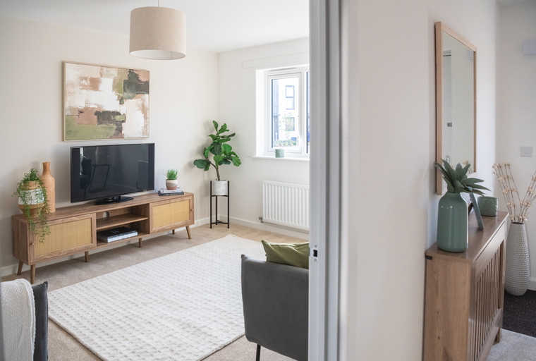 A living room with a television on an entertainment unit, a rug, and a sofa.