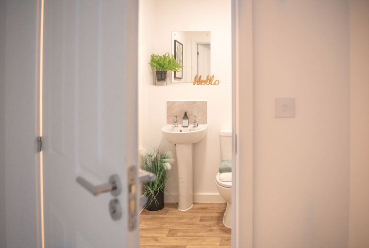 A bathroom with a sink, toilet, and decorative elements.