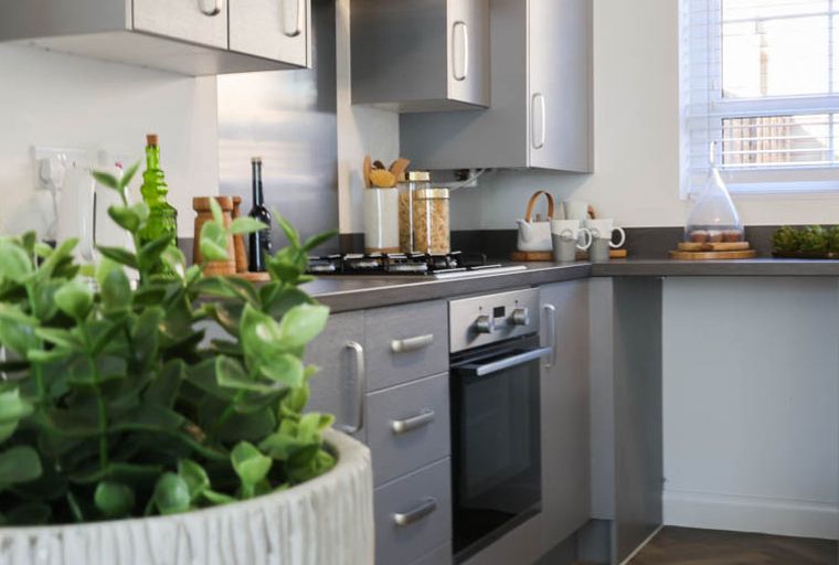 A modern kitchen with grey cabinets, a stovetop, and an oven.